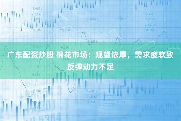 广东配资炒股 棉花市场：观望浓厚，需求疲软致反弹动力不足